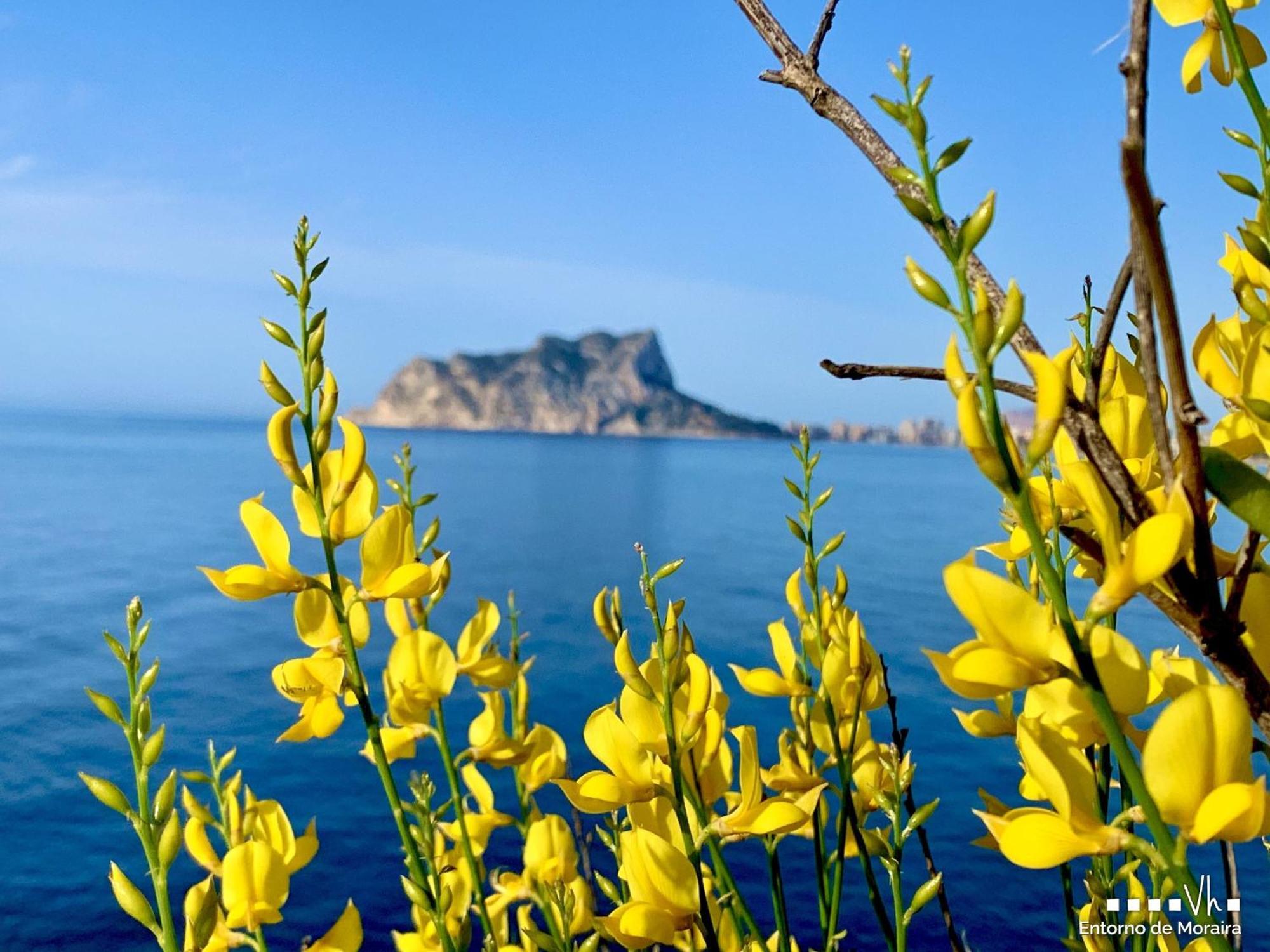 Vh Costablanca - Carmen Villa Морайра Екстериор снимка