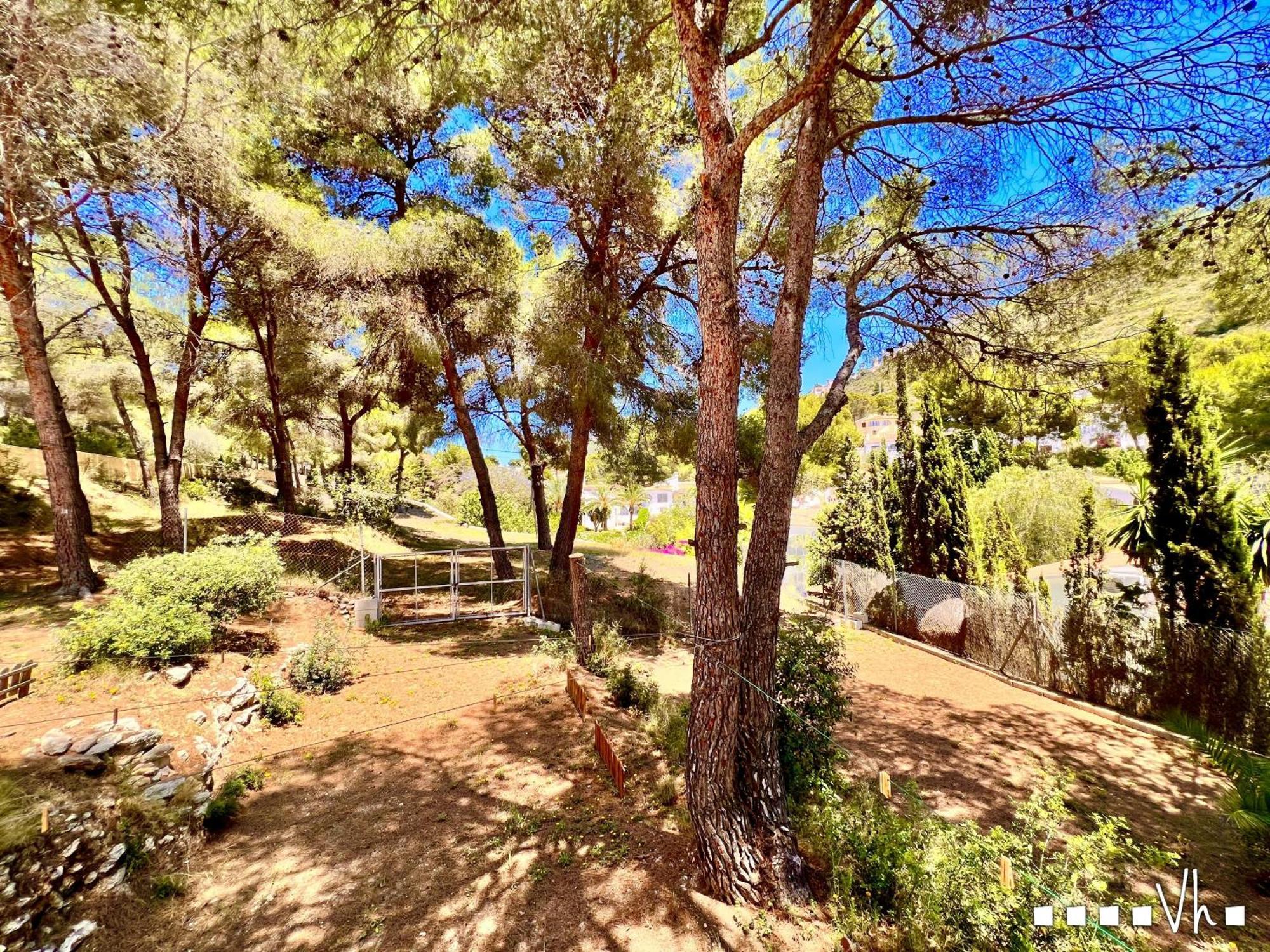 Vh Costablanca - Carmen Villa Морайра Екстериор снимка